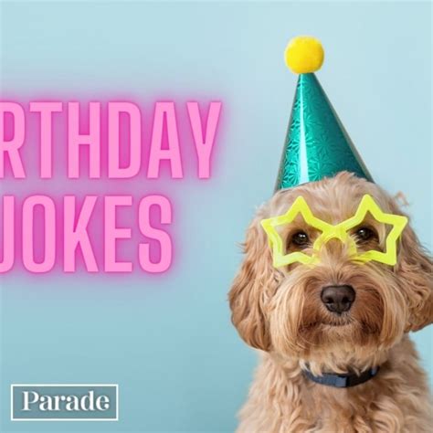 The Ultimate Collection of 4K Happy Birthday Images Funny - Over 999 ...