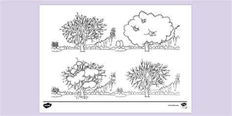 Four Seasons Colouring Page | Primary Resources | Twinkl