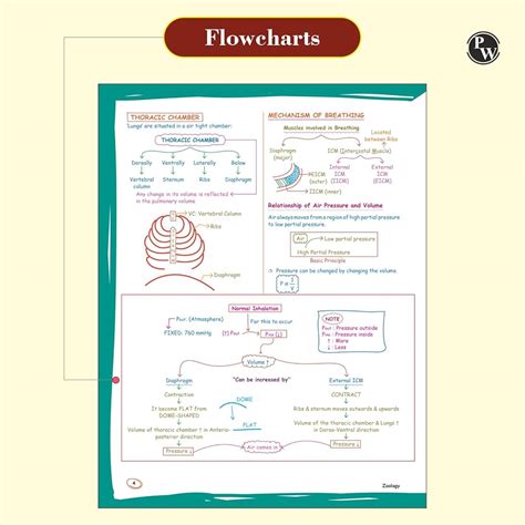 Samapti Sinha Mahapatra PW Zoology Med Easy For NEET and Board Exams ...