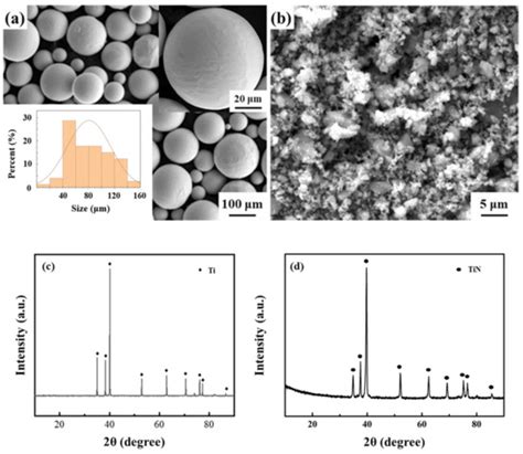 Study on the Preparation of Network Ti-N/Ti Composites by Nitridation ...