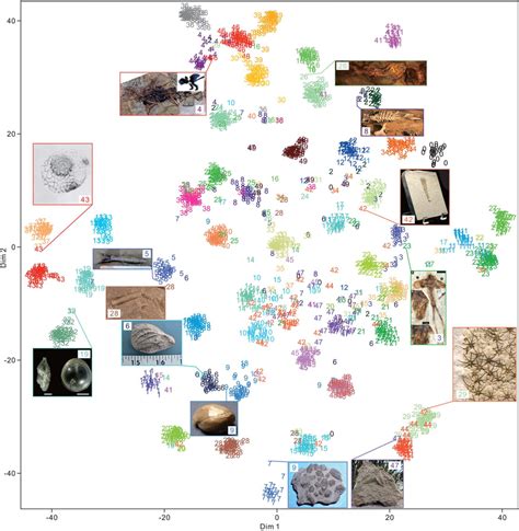 Image result for Deep Learning Feature Visualization