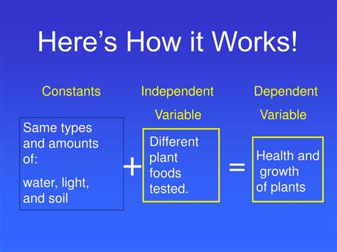 Variables Explained 的图像结果