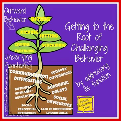 Roots And Fruits Behaviour at Jayne Griffin blog