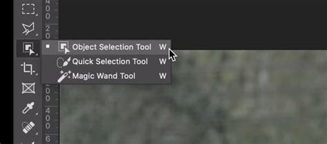 Photoshop Object Selection Tool 的图像结果