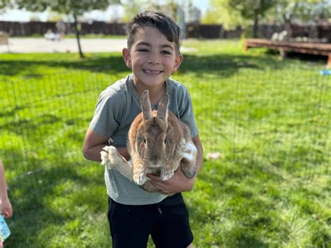 Idaho police seek witnesses, info on I-84 crash near Boise | Idaho ...