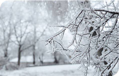 Stormwater Basics 的图像结果