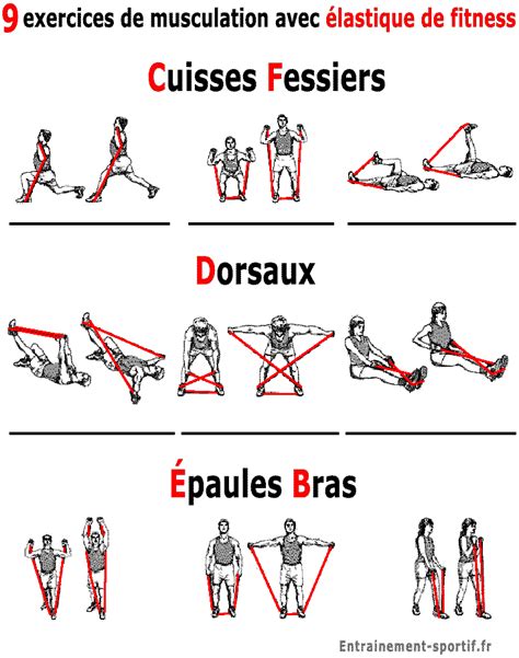 Image result for Exercices Musculation Bras