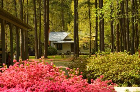 Kenly Tourism (2024): All You Need to Know Before You Go