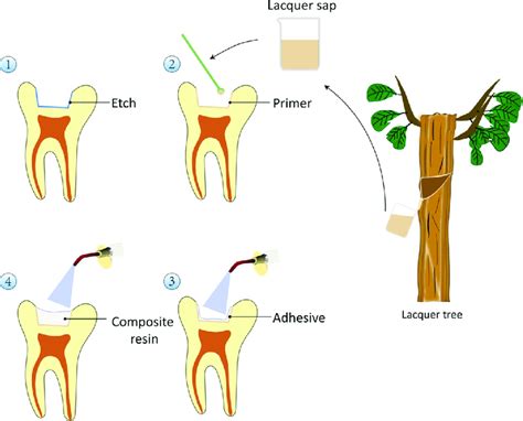 Primer Manufacturing Process 的图像结果