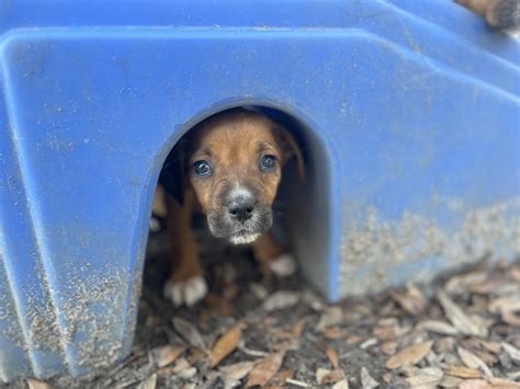 News - Horry County SC.Gov