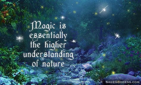quotes about magical forests