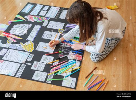 5 Grade Science Projects 的图像结果