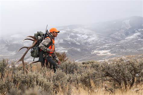 Colorado's Secondary Big Game Hunting Draw - Colorado Outdoors Online