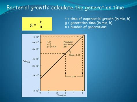 Image result for Reaction Engineering Explained