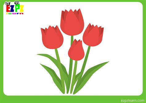 Spring FlashCards 的图像结果