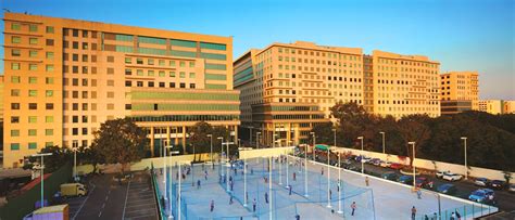 DLF India: News and Media Coverage