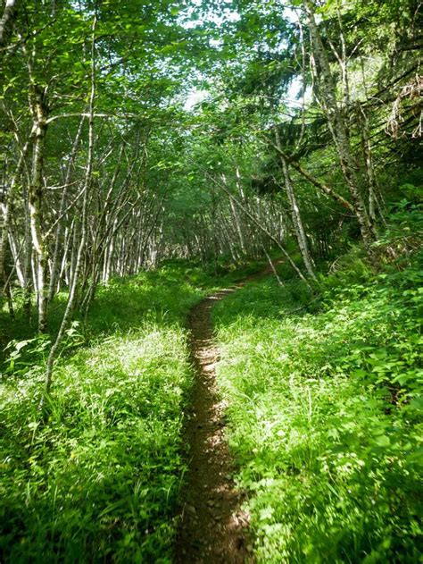 #41E ATV, Oregon - GPS Trail Map, Conditions & Difficulty | onX Offroad