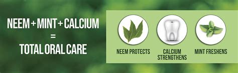 Neem Active Toothpaste 200gm with Ultra Soft Manual Toothbrush | 100% ...