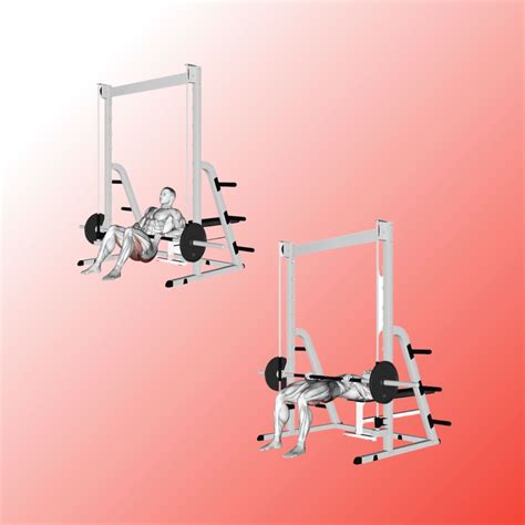 Image result for Smith Machine Hip Thrust