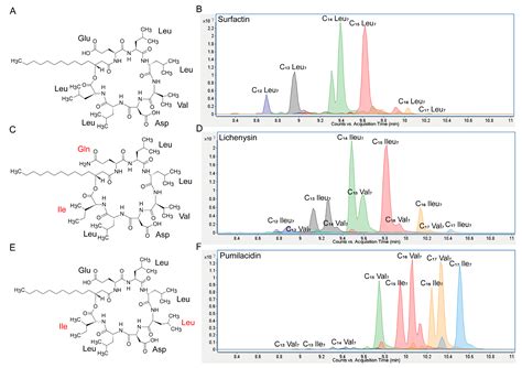 Surfactin Structural Variants Differentially Modulate Plant Immune ...