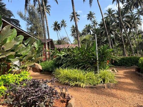 THE STREAM RESORT (Diveagar, Maharashtra) - Resort Reviews, Photos ...