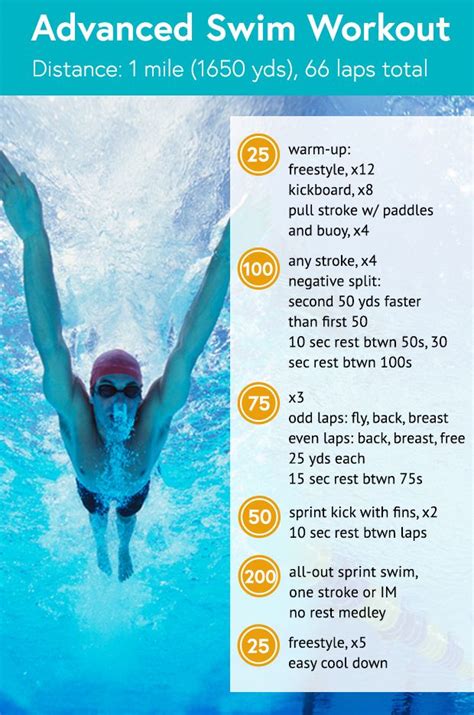Swimming Exercise Routine 的图像结果