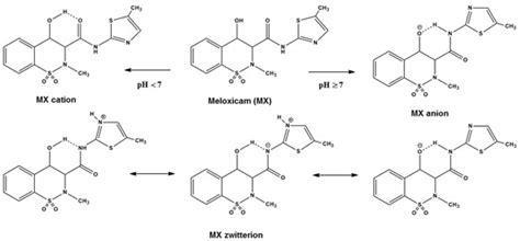 Gels | Special Issue : Biopolymer-Based Gels for Drug Delivery and ...