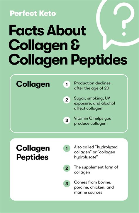 Collagen vs. Collagen Peptides: Understanding the Difference - Perfect Keto