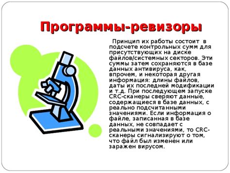 Компьютерные вирусы и антивирусные программы