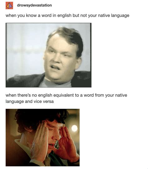 Image result for Confusing Language Meme