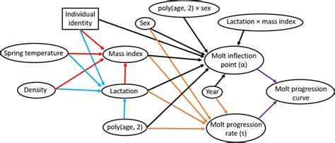 Image result for Bayesian Structural Equation Model