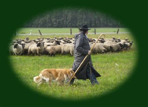 Bildergebnis für harnstickstoff