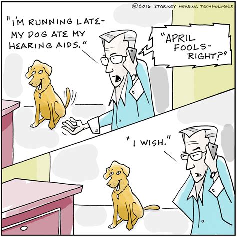 Hearing Aids For Dogs