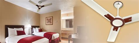 Buy Standard Dasher Prime 1200mm Ceiling Fan (Pearl White Wood) Online ...