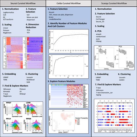 Single Cell Analysis Free Software 的图像结果