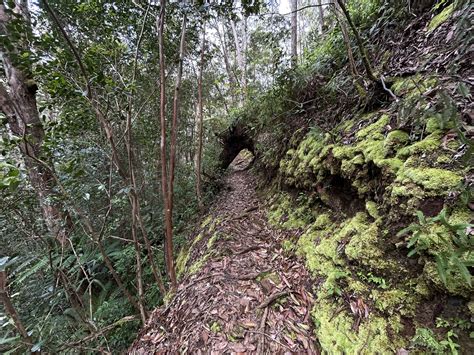 Hiking the Wahiawā Hills Trail on Oʻahu — noahawaii
