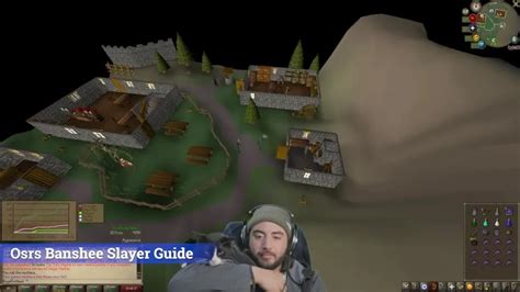 Banshee Slayer Task 的图像结果