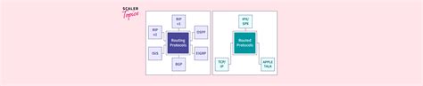 Image result for Difference Between Routing Protocols
