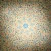 ‘दुःख का अधिकार ‘ पाठ में आपने विषैले साँप के बारे में पढ़ा? - Brainly.in