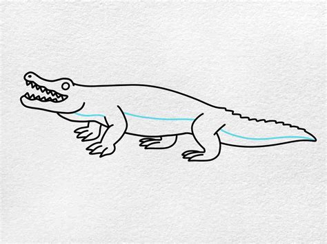 How to Draw an Alligator - HelloArtsy