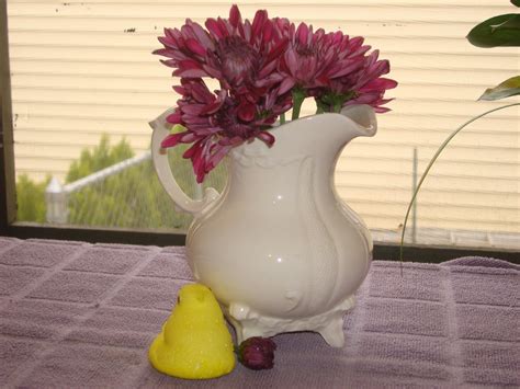 Fresh Cut Flower Preservative : 6 Steps - Instructables