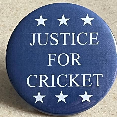 Buy Cricket Jewellery Online In India - Etsy India