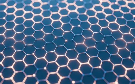 Image result for Hexagonal Structure Animals