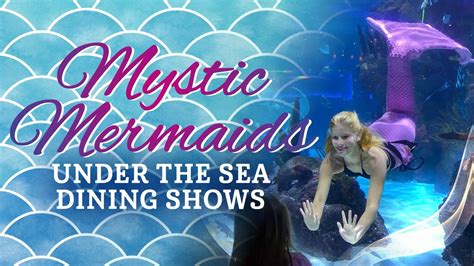 Mystic Mermaids Under the Sea Dining Shows, Aquarium Restaurant ...