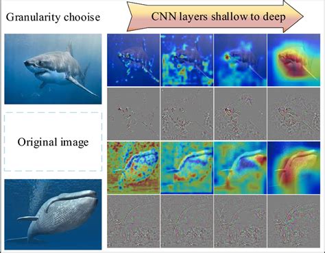 Image result for Grad Cam Visualization Custom CNN