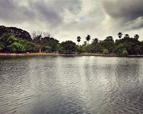 The Top 10 Things to Do in Kolkata (Calcutta) with Kids - Family ...