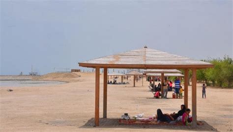 Places To Visit in Al Khor For Its Old Watchtowers And Birdwatching