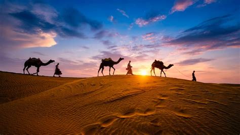 January Fairs Festivals: जनवरी में देशभर में होने वाले ऐसे फेस्टिवल्स ...