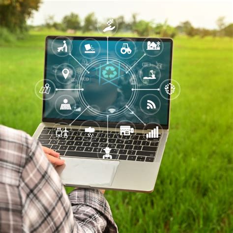 Bayaplanter | ERP Software for Agricultural Farm Management