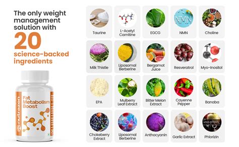 Nutrazen Fat Metabolism Boost - 20 Plant Based Ingredients ...